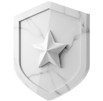 описываемая сеть